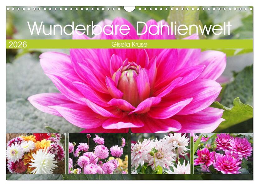 Wunderbare Dahlienwelt (Wandkalender 2026 DIN A3 quer) CALVENDO Monatskalender