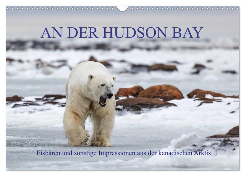 AN DER HUDSON BAY (Wandkalender 2026 DIN A3 quer) CALVENDO Monatskalender