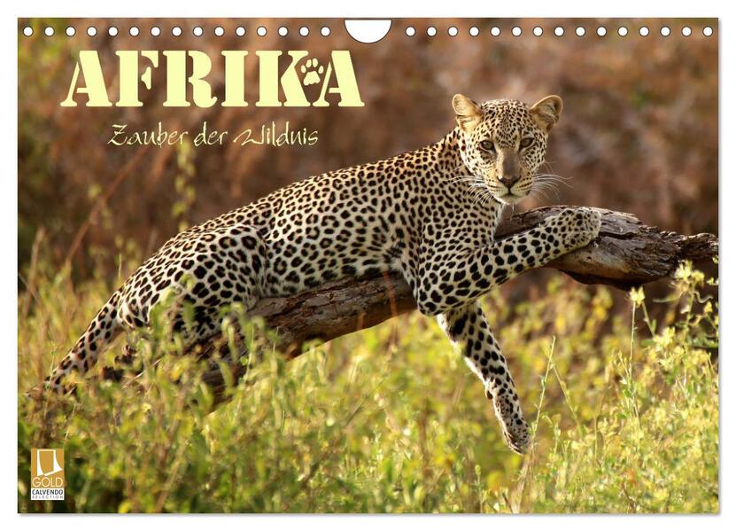 Afrika - Zauber der Wildnis (Wandkalender 2026 DIN A4 quer) CALVENDO Monatskalender