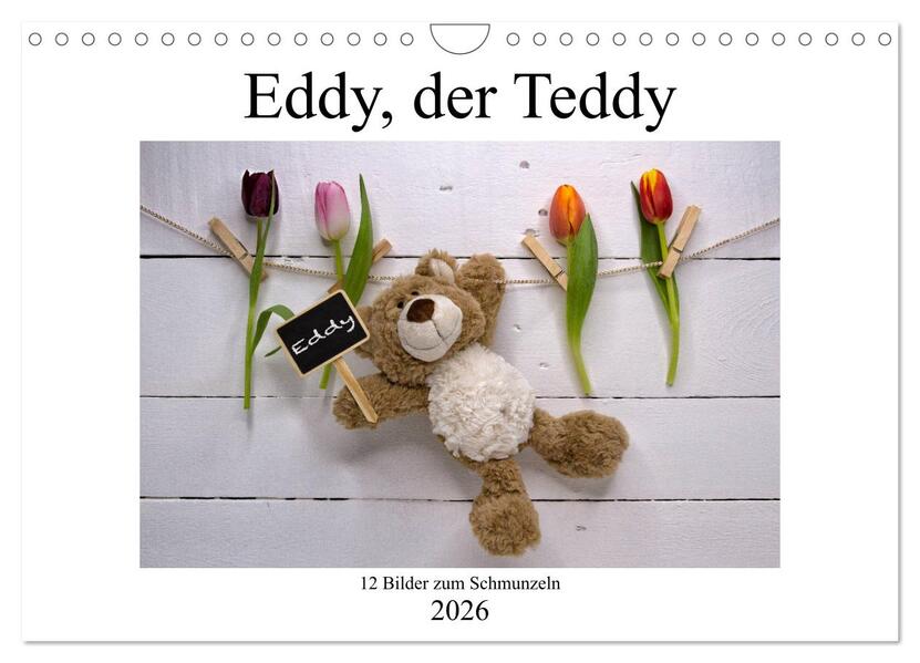 Eddy der Teddy - 12 Bilder zum Schmunzeln (Wandkalender 2026 DIN A4 quer) CALVENDO Monatskalender