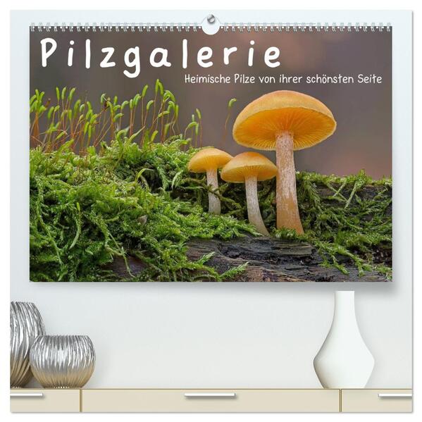 Pilzgalerie - Heimische Pilze von ihrer schönsten Seite (hochwertiger Premium Wandkalender 2026 DIN A2 quer) Kunstdruck in Hochglanz