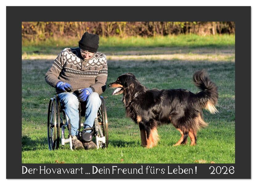 Der Hovawart... Dein Freund fürs Leben ! (Tischkalender 2026 DIN A5 quer) CALVENDO Monatskalender