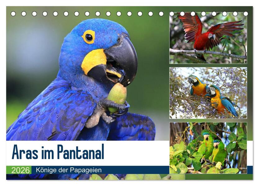 Aras im Pantanal (Tischkalender 2026 DIN A5 quer) CALVENDO Monatskalender