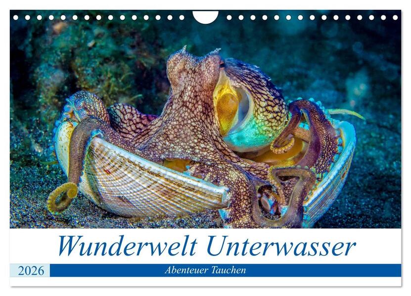Wunderwelt Unterwasser (Wandkalender 2026 DIN A4 quer) CALVENDO Monatskalender