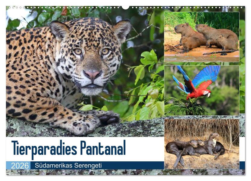 Tierparadies Pantanal (Wandkalender 2026 DIN A2 quer) CALVENDO Monatskalender