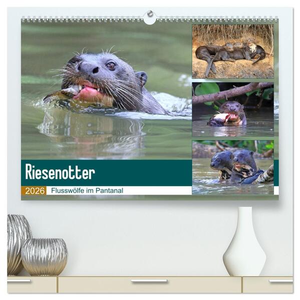 Riesenotter - Flusswölfe im Pantanal (hochwertiger Premium Wandkalender 2026 DIN A2 quer) Kunstdruck in Hochglanz