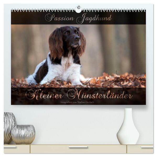 Passion Jagdhund - Kleiner Münsterländer (hochwertiger Premium Wandkalender 2026 DIN A2 quer) Kunstdruck in Hochglanz
