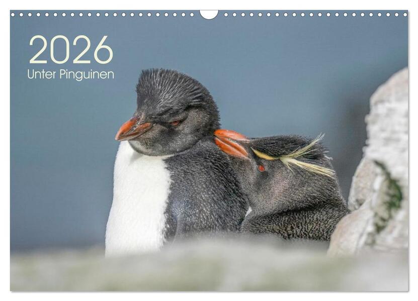 Unter Pinguinen (Wandkalender 2026 DIN A3 quer) CALVENDO Monatskalender