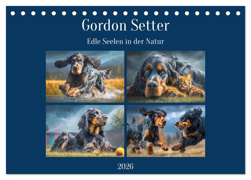 Gordon Setter. Edle Seelen in der Natur (Tischkalender 2026 DIN A5 quer) CALVENDO Monatskalender