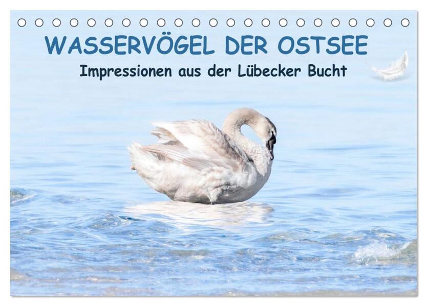 Wasservögel der Ostsee - Impressionen aus der Lübecker Bucht (Tischkalender 2026 DIN A5 quer) CALVENDO Monatskalender