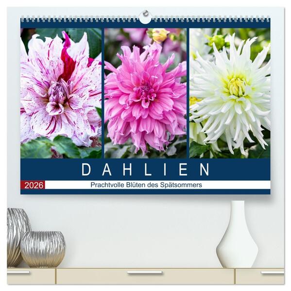 Dahlien - Prachtvolle Blüten des Spätsommers (hochwertiger Premium Wandkalender 2026 DIN A2 quer) Kunstdruck in Hochglanz