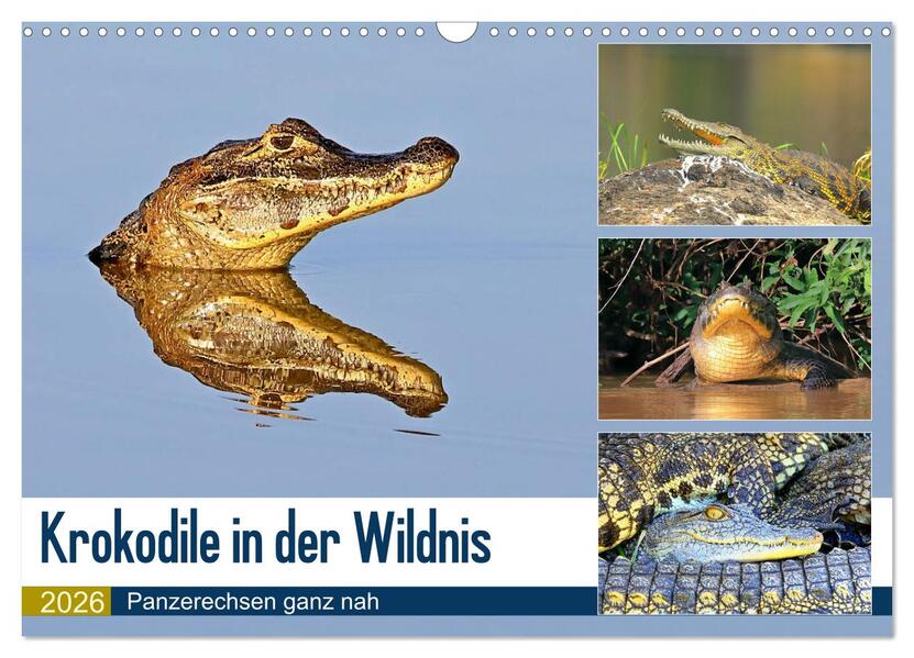 Krokodile in der Wildnis (Wandkalender 2026 DIN A3 quer) CALVENDO Monatskalender