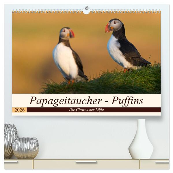 Papageitaucher - Puffins (hochwertiger Premium Wandkalender 2026 DIN A2 quer) Kunstdruck in Hochglanz