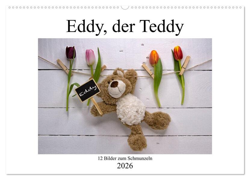 Eddy der Teddy - 12 Bilder zum Schmunzeln (Wandkalender 2026 DIN A2 quer) CALVENDO Monatskalender