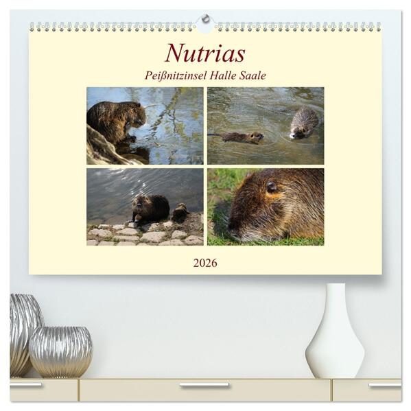 Nutrias Peißnitzinsel Halle Saale (hochwertiger Premium Wandkalender 2026 DIN A2 quer) Kunstdruck in Hochglanz