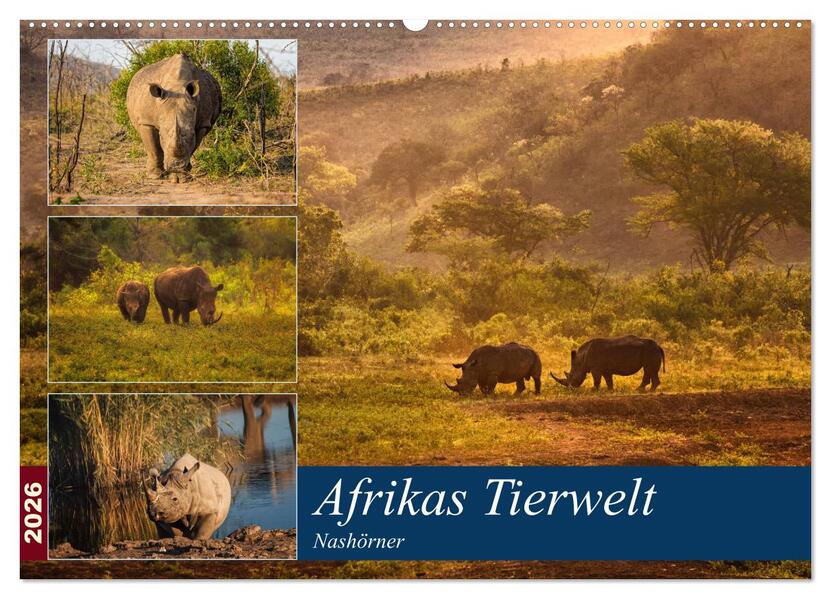 Afrikas Tierwelt: Nashörner (Wandkalender 2026 DIN A2 quer) CALVENDO Monatskalender