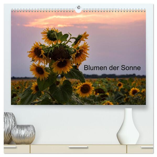 Blumen der Sonne (hochwertiger Premium Wandkalender 2026 DIN A2 quer) Kunstdruck in Hochglanz