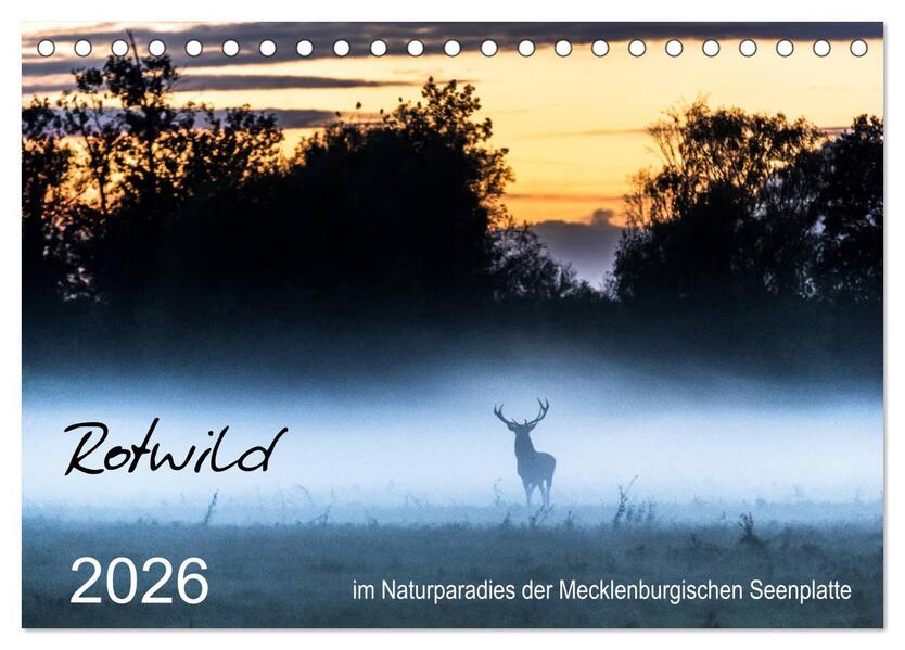 Rotwild - im Naturparadies der Mecklenburgischen Seenplatte (Tischkalender 2026 DIN A5 quer) CALVENDO Monatskalender