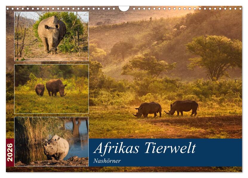 Afrikas Tierwelt: Nashörner (Wandkalender 2026 DIN A3 quer) CALVENDO Monatskalender