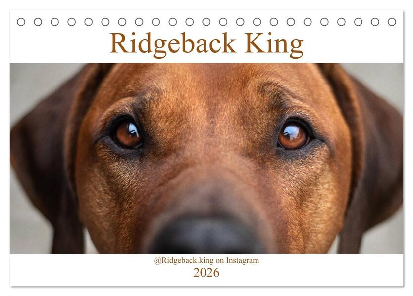 Ridgeback King (Tischkalender 2026 DIN A5 quer) CALVENDO Monatskalender