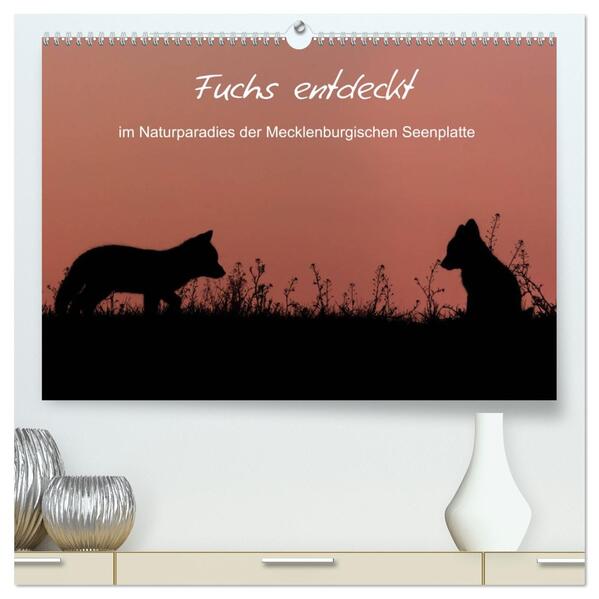 Fuchs entdeckt - im Naturparadies der Mecklenburgischen Seenplatte (hochwertiger Premium Wandkalender 2026 DIN A2 quer) Kunstdruck in Hochglanz
