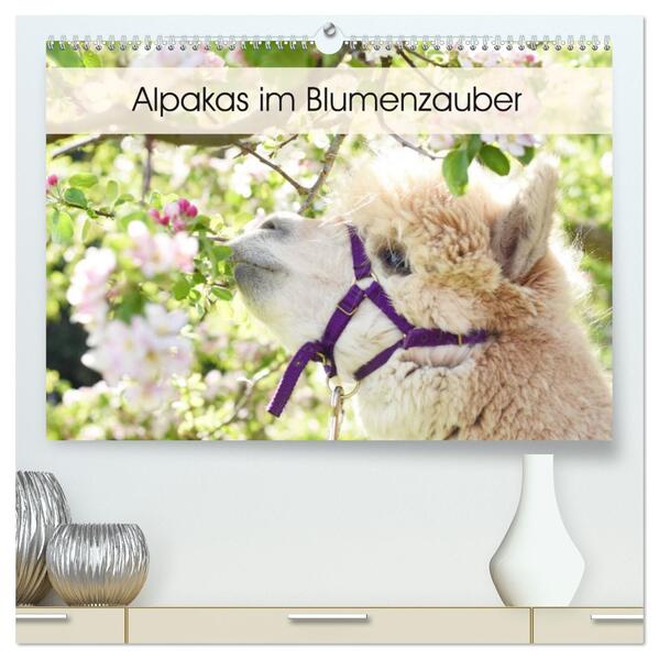Alpakas im Blumenzauber (hochwertiger Premium Wandkalender 2026 DIN A2 quer) Kunstdruck in Hochglanz