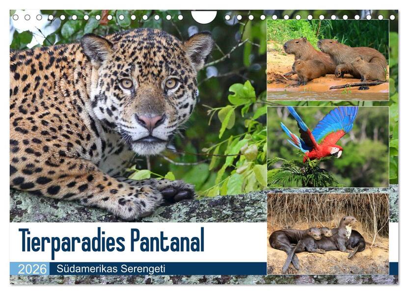 Tierparadies Pantanal (Wandkalender 2026 DIN A4 quer) CALVENDO Monatskalender