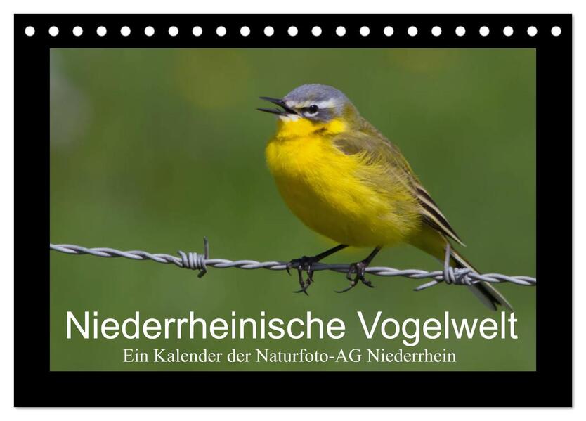 Niederrheinische Vogelwelt (Tischkalender 2026 DIN A5 quer) CALVENDO Monatskalender