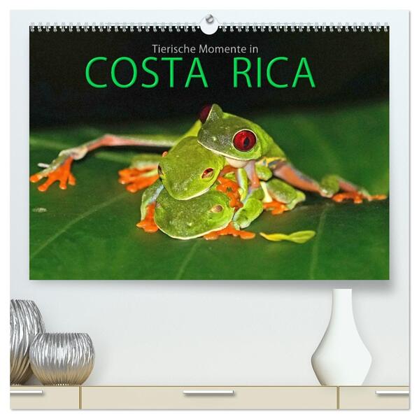 COSTA RICA - Tierische Momente (hochwertiger Premium Wandkalender 2026 DIN A2 quer) Kunstdruck in Hochglanz