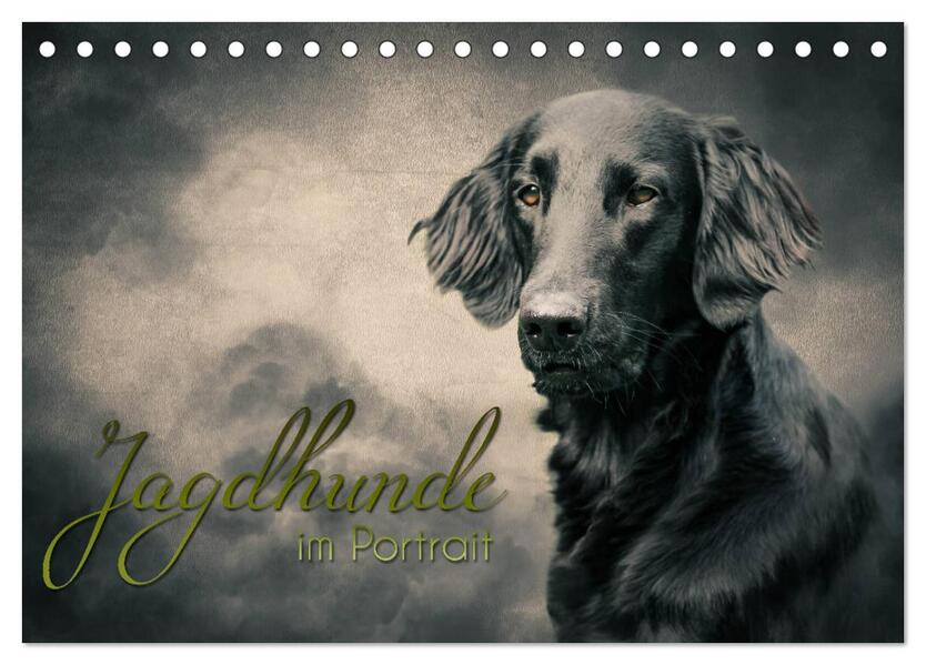 Jagdhunde im Portrait (Tischkalender 2026 DIN A5 quer) CALVENDO Monatskalender