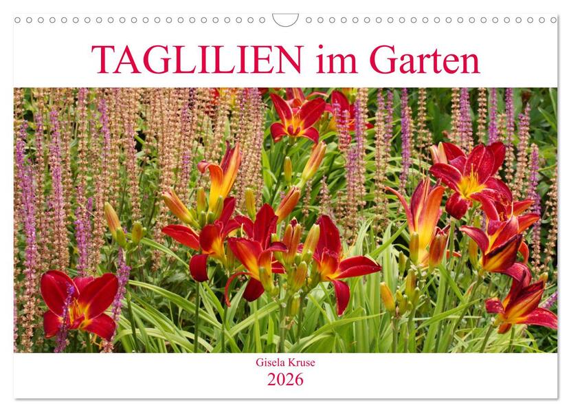 Taglilien im Garten (Wandkalender 2026 DIN A3 quer) CALVENDO Monatskalender