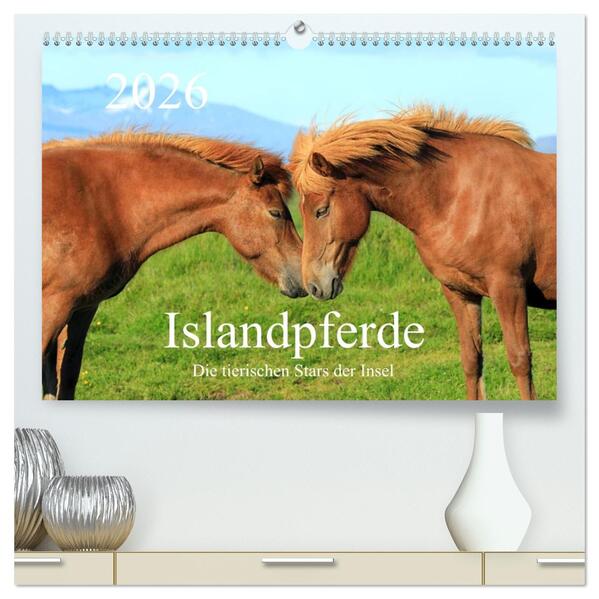 Islandpferde - Die tierischen Stars der Insel (hochwertiger Premium Wandkalender 2026 DIN A2 quer) Kunstdruck in Hochglanz