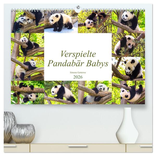 Pandabär Babys (hochwertiger Premium Wandkalender 2026 DIN A2 quer) Kunstdruck in Hochglanz