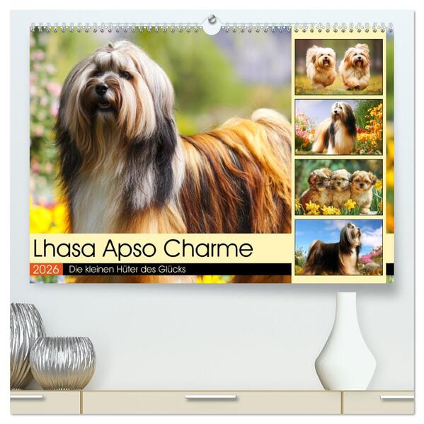 Lhasa Apso Charme. Die kleinen Hüter des Glücks (hochwertiger Premium Wandkalender 2026 DIN A2 quer) Kunstdruck in Hochglanz