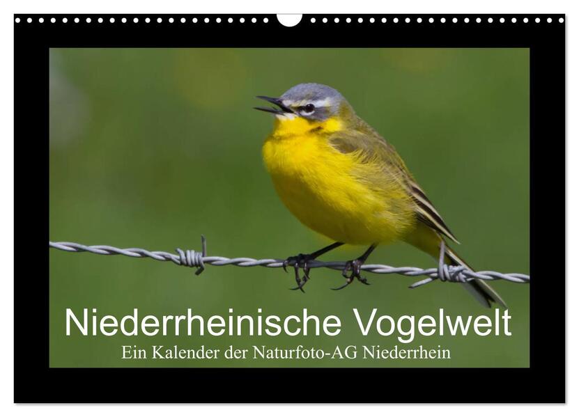 Niederrheinische Vogelwelt (Wandkalender 2026 DIN A3 quer) CALVENDO Monatskalender