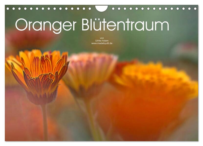 Oranger Blütentraum (Wandkalender 2026 DIN A4 quer) CALVENDO Monatskalender
