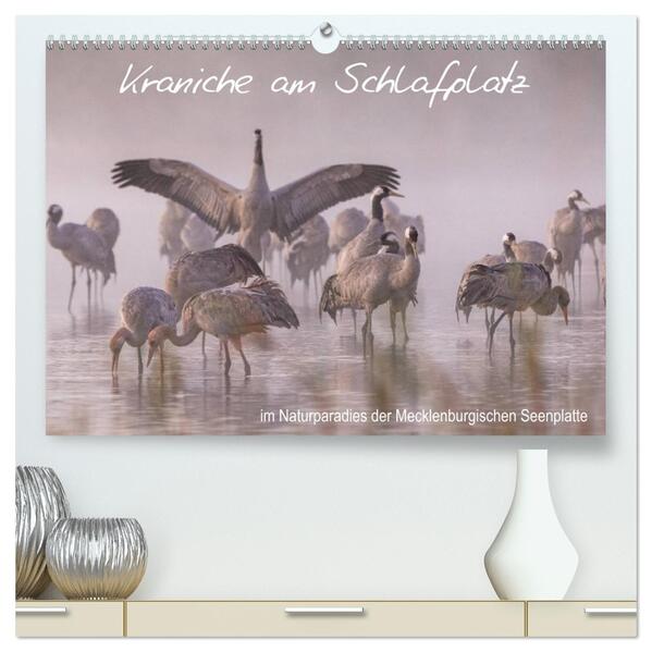 Kraniche am Schlafplatz - im Naturparadies der Mecklenburgischen Seenplatte (hochwertiger Premium Wandkalender 2026 DIN A2 quer) Kunstdruck in Hochglanz