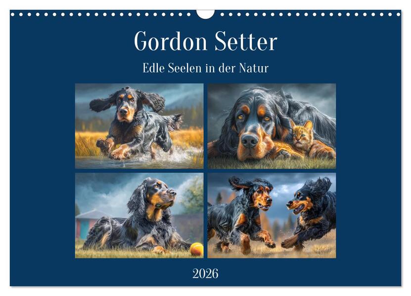 Gordon Setter. Edle Seelen in der Natur (Wandkalender 2026 DIN A3 quer) CALVENDO Monatskalender