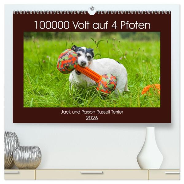 100000 Volt auf vier Pfoten - Jack und Parson Russell Terrier (hochwertiger Premium Wandkalender 2026 DIN A2 quer) Kunstdruck in Hochglanz