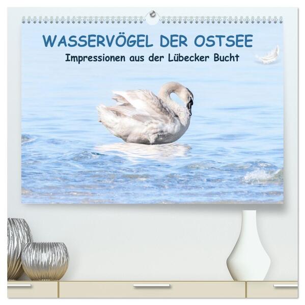 Wasservögel der Ostsee - Impressionen aus der Lübecker Bucht (hochwertiger Premium Wandkalender 2026 DIN A2 quer) Kunstdruck in Hochglanz