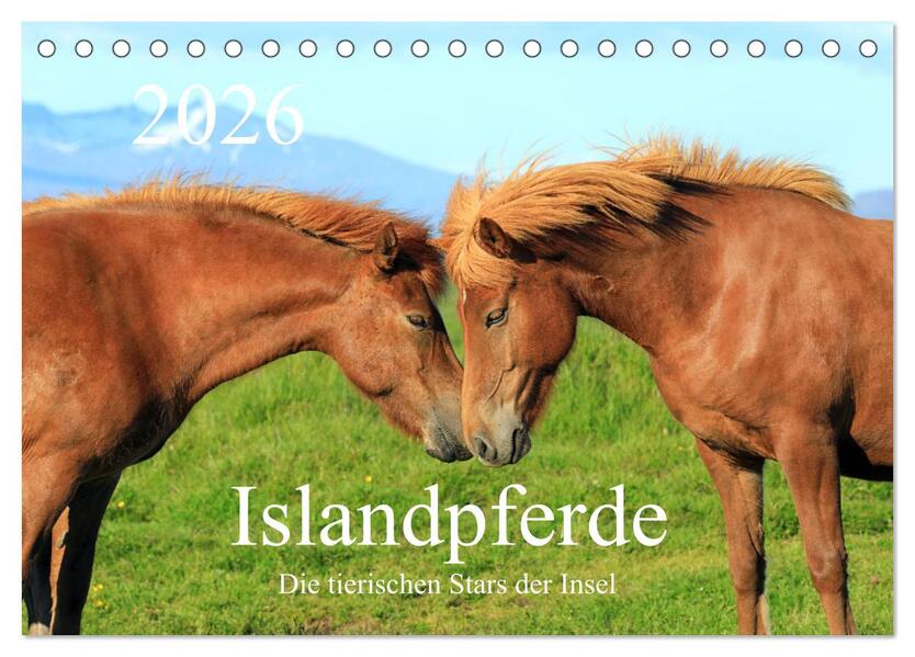 Islandpferde - Die tierischen Stars der Insel (Tischkalender 2026 DIN A5 quer) CALVENDO Monatskalender