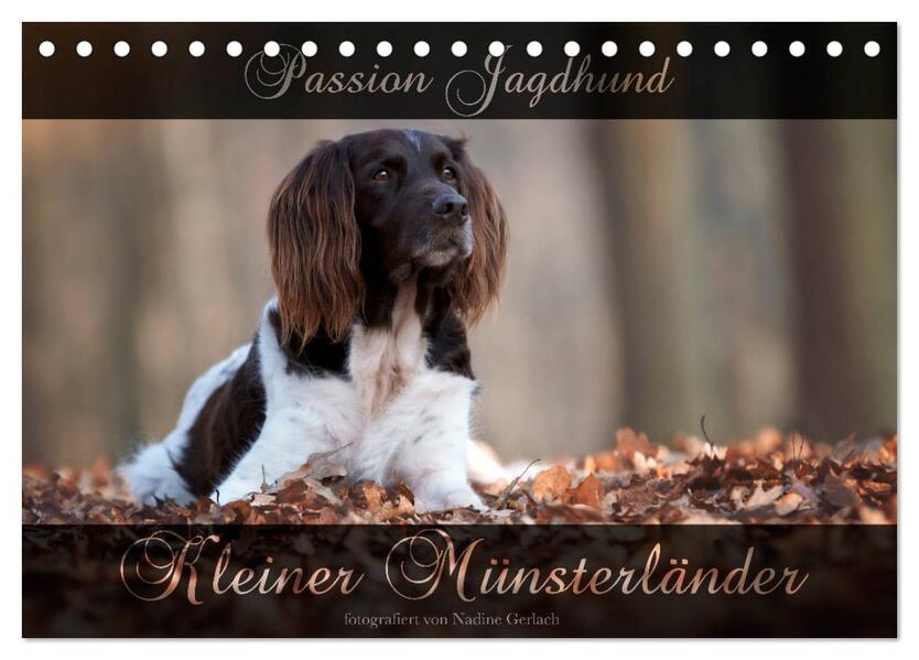 Passion Jagdhund - Kleiner Münsterländer (Tischkalender 2026 DIN A5 quer) CALVENDO Monatskalender