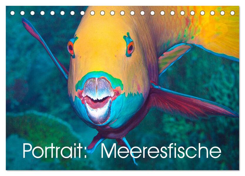 Portrait: Meeresfische (Tischkalender 2026 DIN A5 quer) CALVENDO Monatskalender