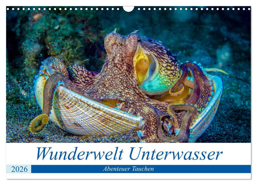 Wunderwelt Unterwasser (Wandkalender 2026 DIN A3 quer) CALVENDO Monatskalender