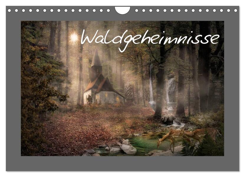 Waldgeheimnisse (Wandkalender 2026 DIN A4 quer) CALVENDO Monatskalender