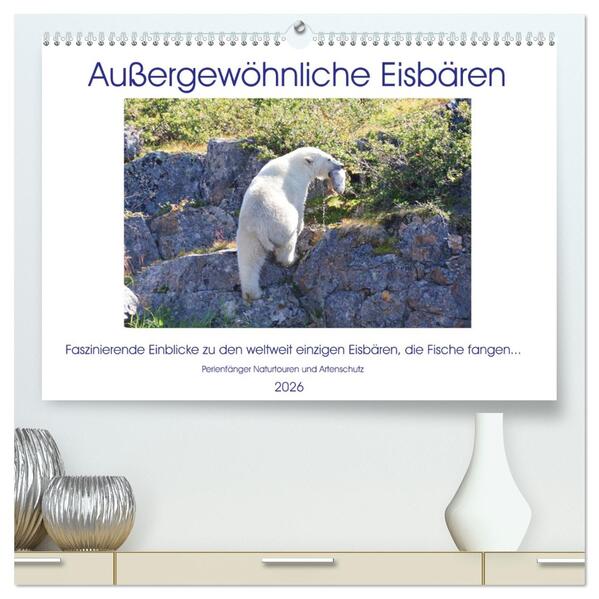 Das Leben der etwas 'anderen' Eisbären! (hochwertiger Premium Wandkalender 2026 DIN A2 quer) Kunstdruck in Hochglanz
