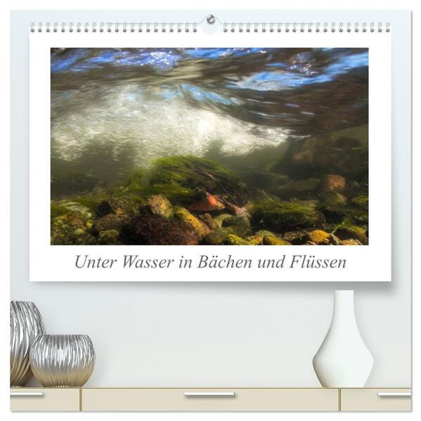 Unter Wasser in Bächen und Flüssen (hochwertiger Premium Wandkalender 2026 DIN A2 quer) Kunstdruck in Hochglanz
