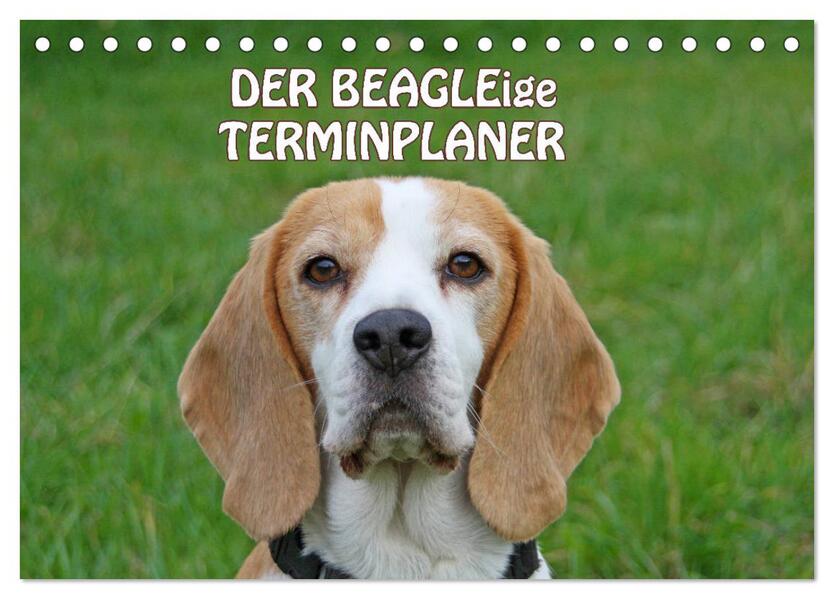 DER BEAGLEige TERMINPLANER (Tischkalender 2026 DIN A5 quer) CALVENDO Monatskalender