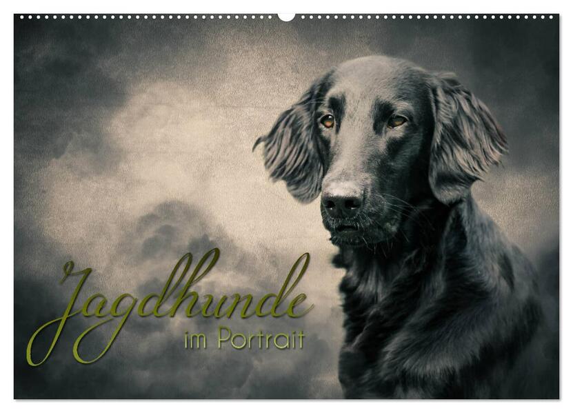 Jagdhunde im Portrait (Wandkalender 2026 DIN A2 quer) CALVENDO Monatskalender