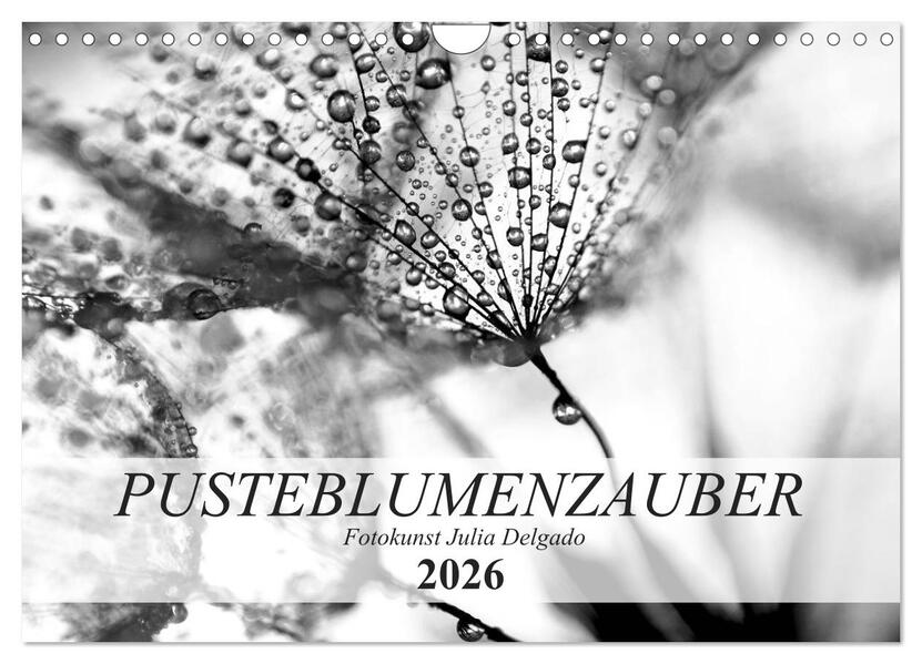 Pusteblumenzauber in schwarzweiß (Wandkalender 2026 DIN A4 quer) CALVENDO Monatskalender